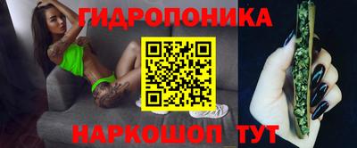 эйфоретик Шелехов